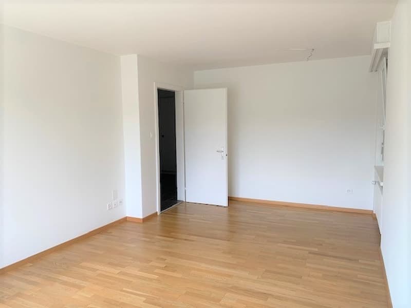 3.5 Room Apartment on the Ground Floor (3)
