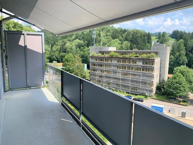 3.5 Room Apartment on the Ground Floor (6)