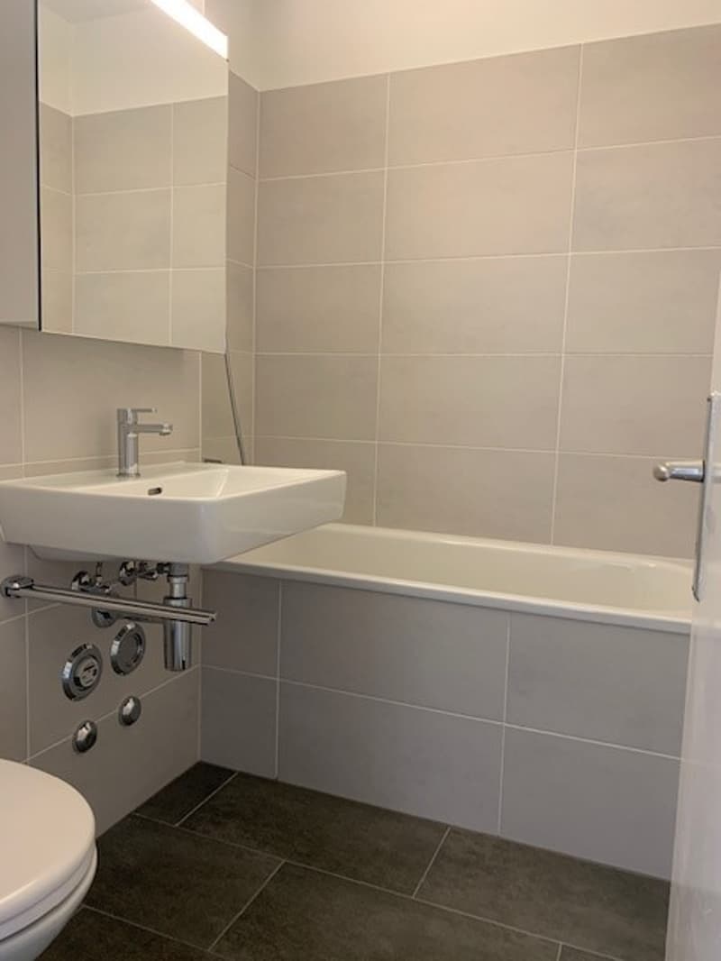 3.5 Room Apartment on the Ground Floor (7)