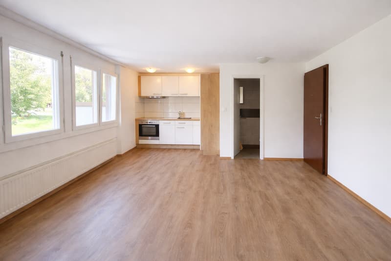 1 Pièce appartement au haut rez-de-chaussée R droite (SANS BALKON) (8)