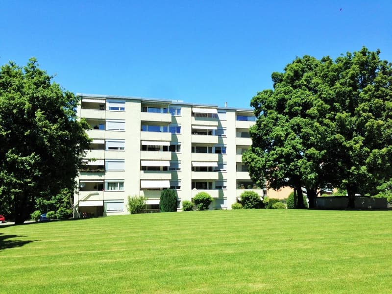 Appartement de 3,5 pièces lumineux au rez-de-chaussée dans un endroit calme (12)