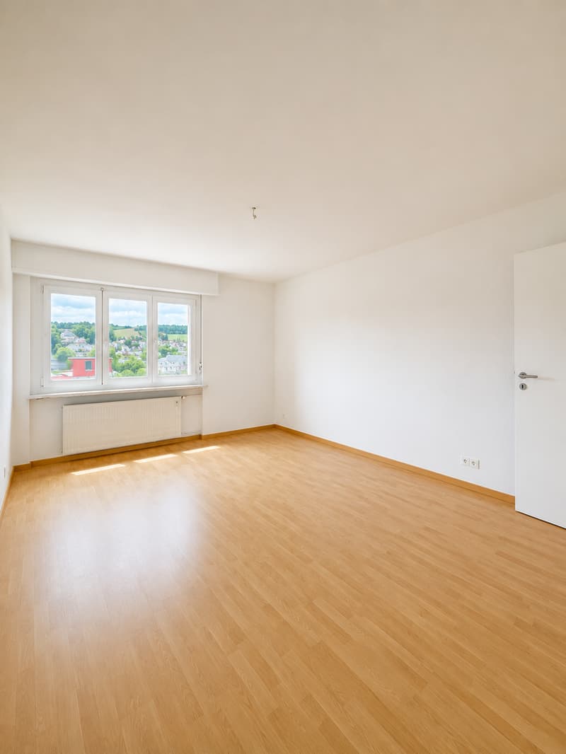 Appartamento di 2,5 locali con vista panoramica (4)