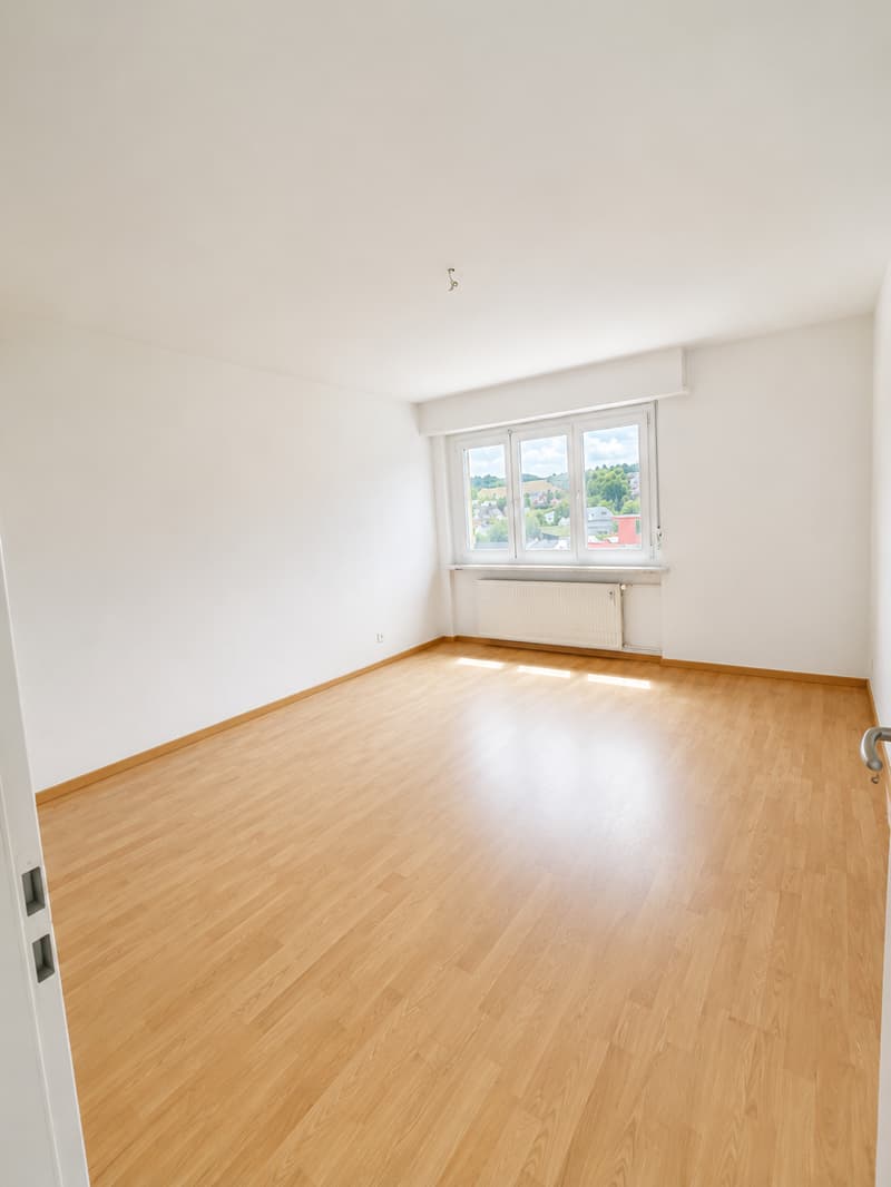 Appartamento di 2,5 locali con vista panoramica (3)