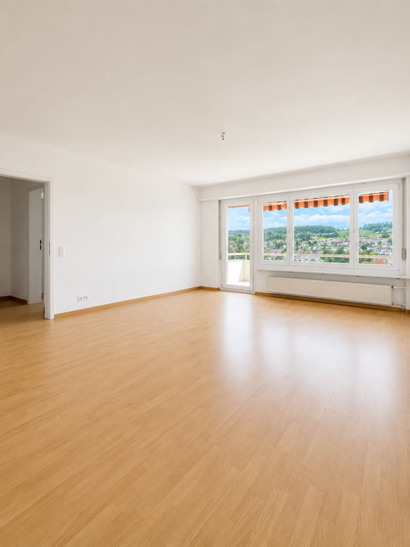 Appartamento di 2,5 locali con vista panoramica (2)