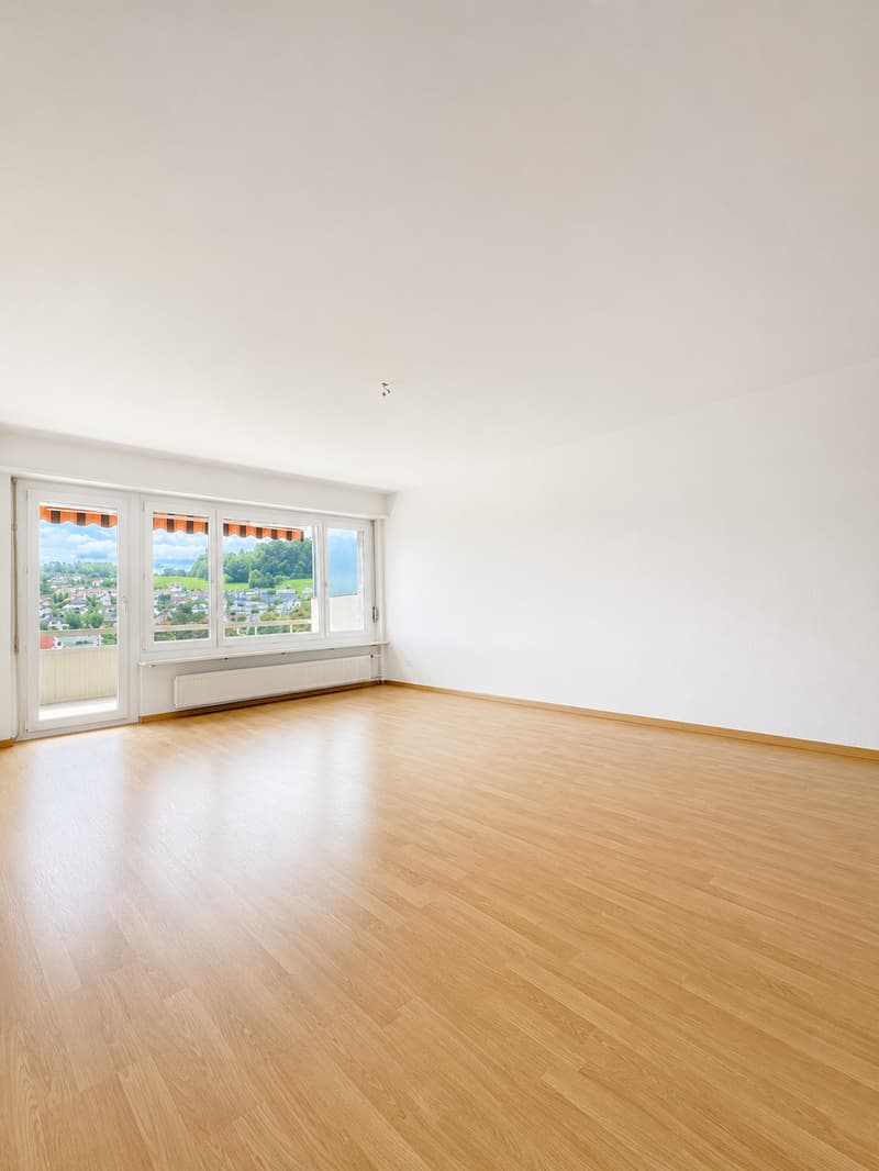 Appartamento di 2,5 locali con vista panoramica (1)