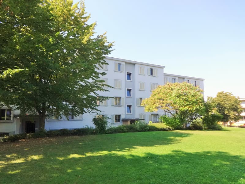 Appartamento tranquillo e centrale a Dietikon (1)