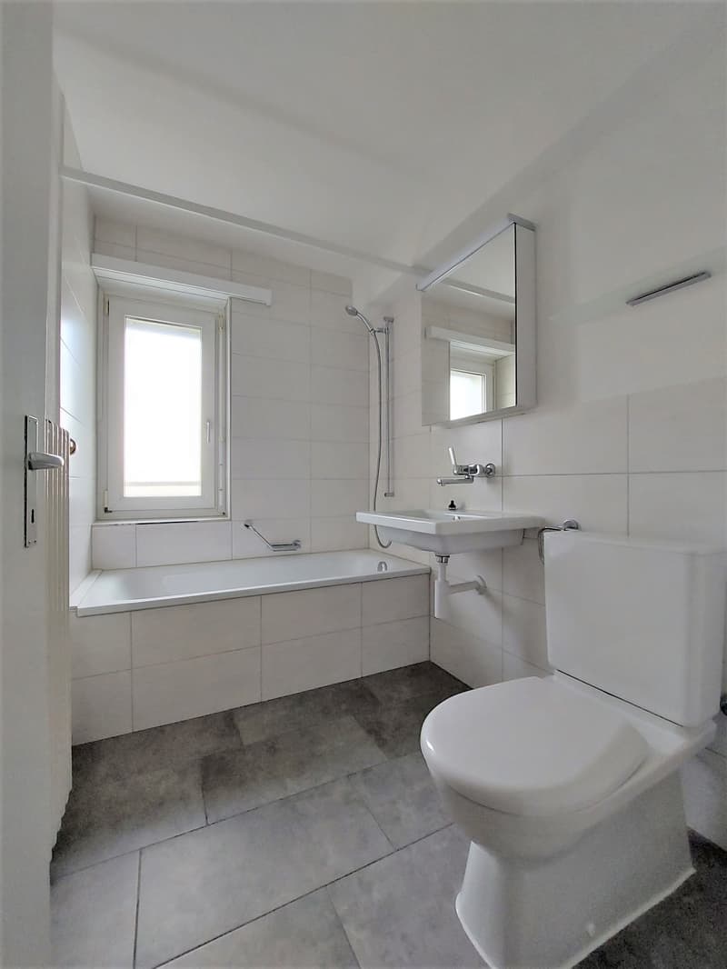 Appartamento ristrutturato di 4,5 locali con balcone e ascensore (2)