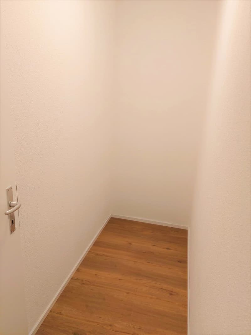 Sanierte 4.5-Zimmerwohnung mit Balkon und Lift (10)