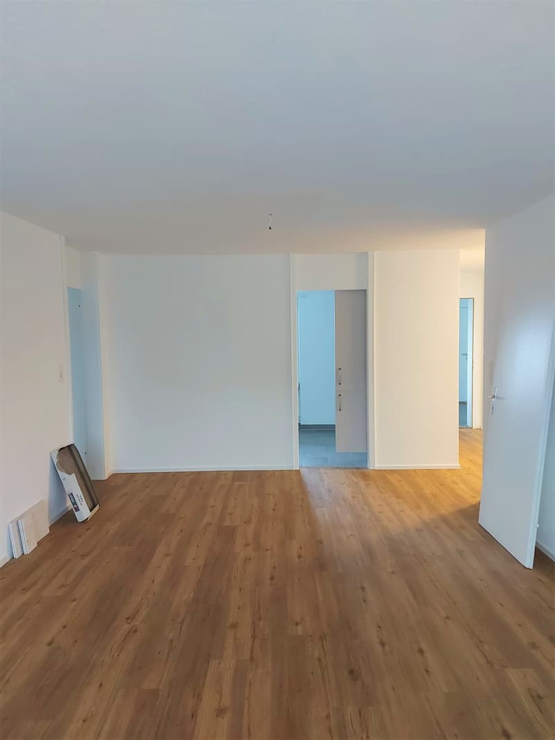 Sanierte 4.5-Zimmerwohnung mit Balkon und Lift (8)