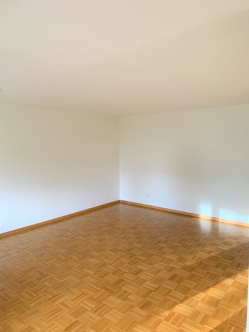 Nachmieter ab 01.09.2026 für charmante 3.5 Zimmer-Wohnung im EG gesucht (2)