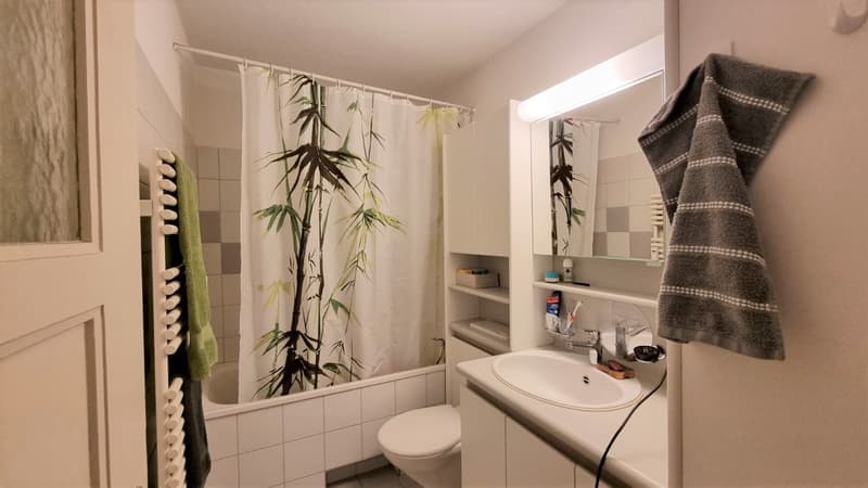 2-Zimmer-Wohnung an genialer Lage (5)