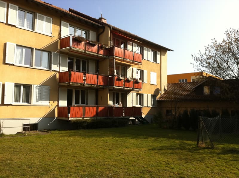 Grosszügige 6.5-Zimmer-Wohnung mit besonderem Charme und Gartenzugang (1)