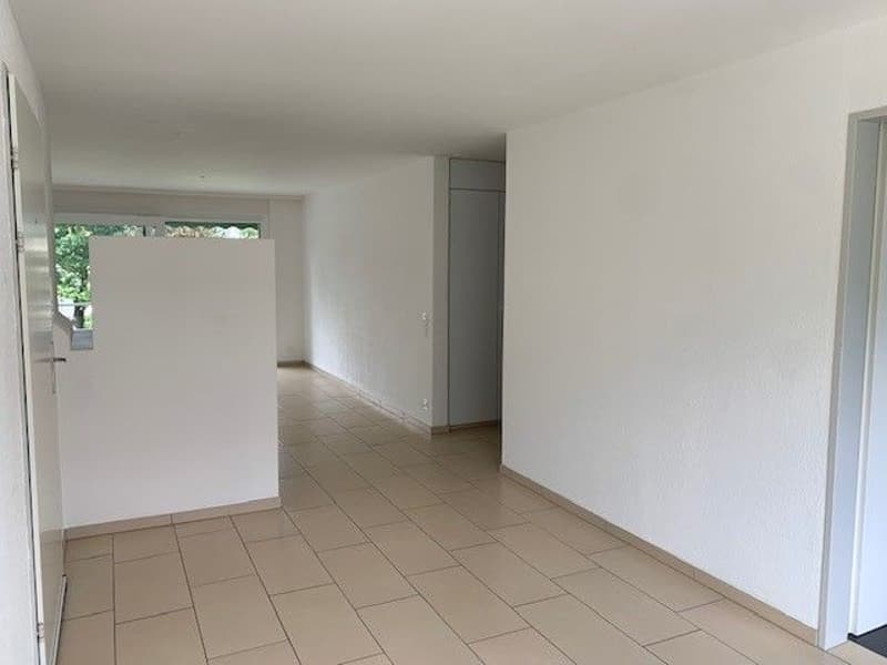Schöne 4.5-Zimmerwohnung in Seenähe mit Cheminée und Balkon - OHNE LIFT (1)
