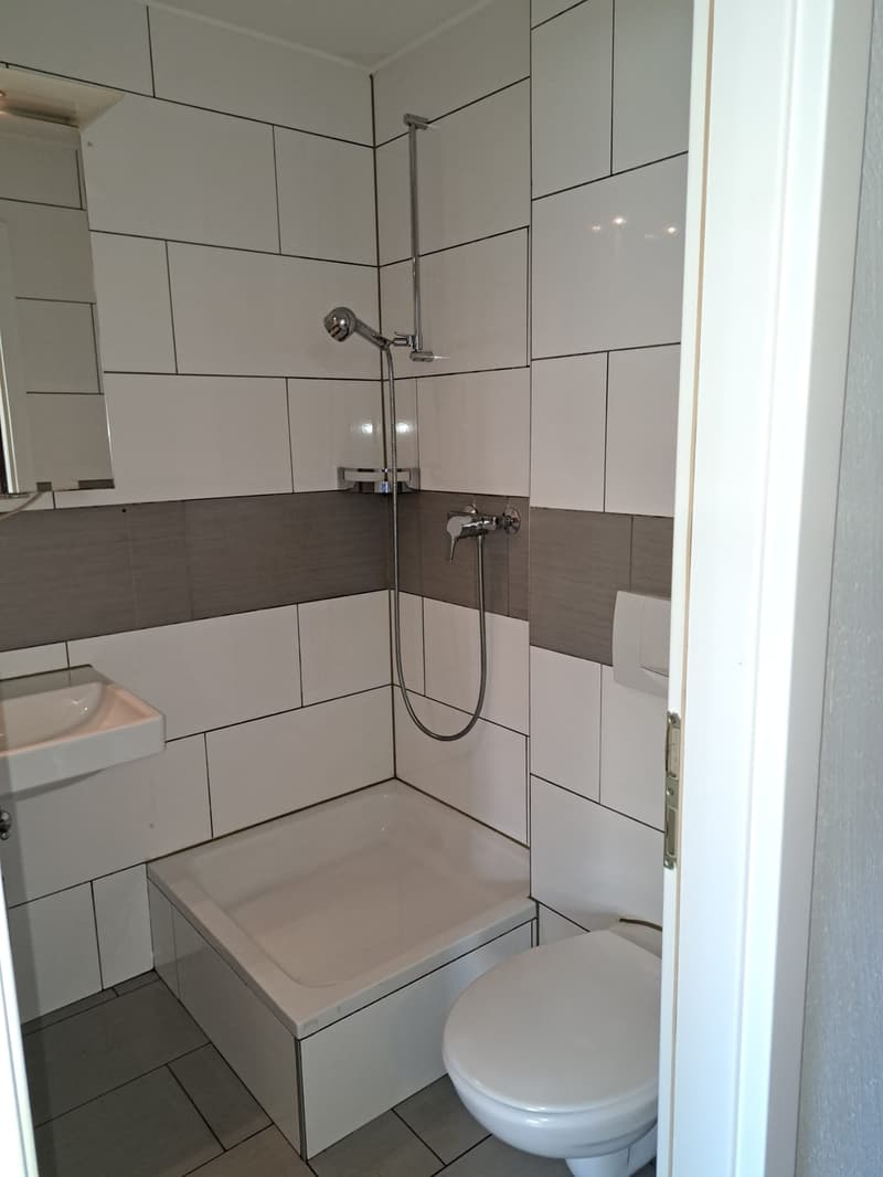 1 Zimmer-Wohnung, 1.OG rechts (5)