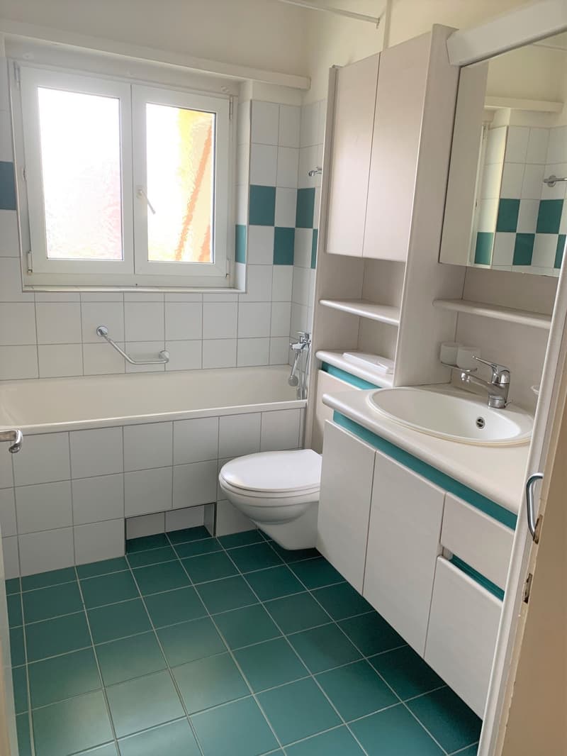 Charmante 3 Zimmer - Wohnung im 3. OG rechts (1)