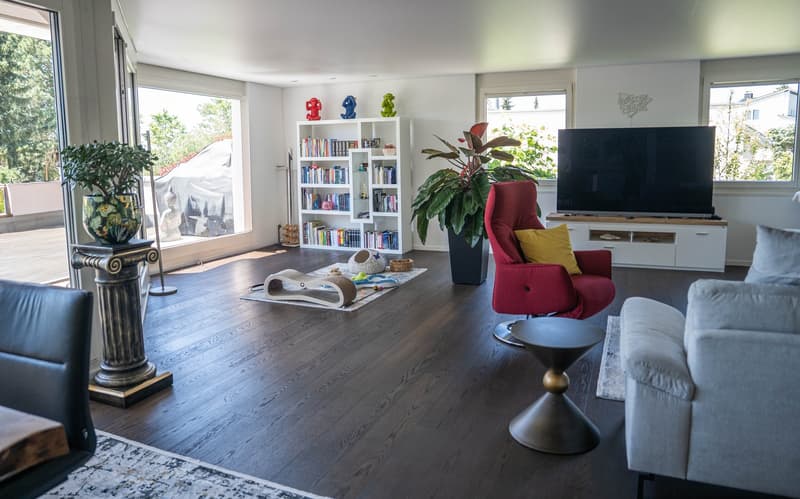 Penthouse-Traum mit Einfamilienhaus-Feeling & grosser Terrasse (5)
