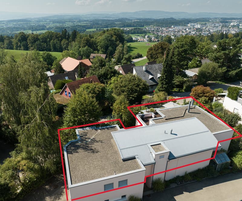 Penthouse-Traum mit Einfamilienhaus-Feeling & grosser Terrasse (4)