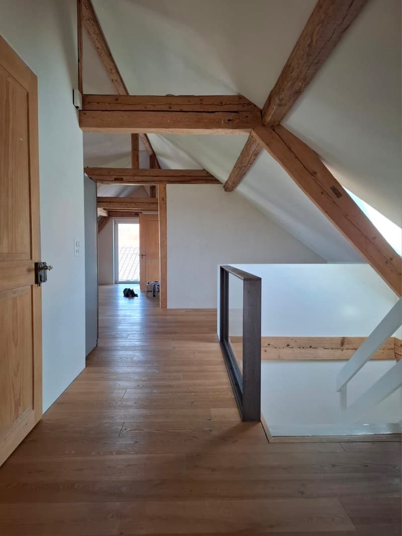 Charming 3.5-room attic apartment in Uster – available immediately! (2)