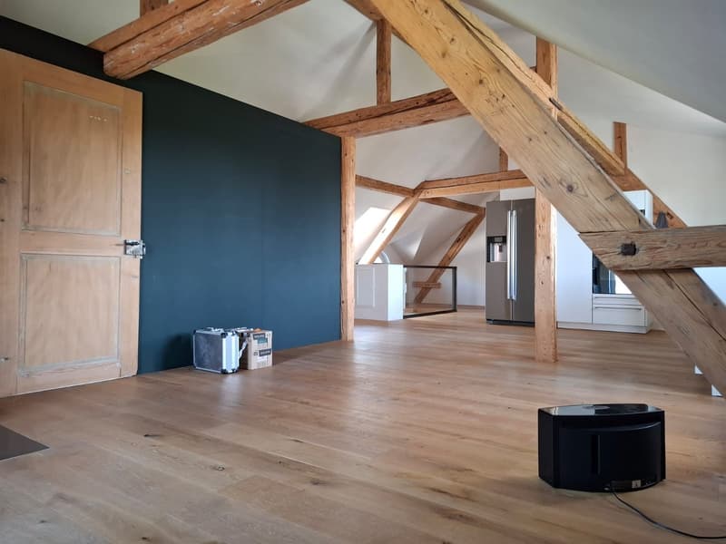 Charming 3.5-room attic apartment in Uster – available immediately! (8)