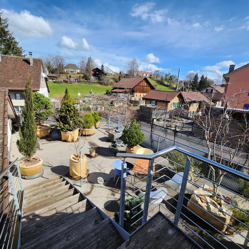 Charming 3.5-room attic apartment in Uster – available immediately! (11)