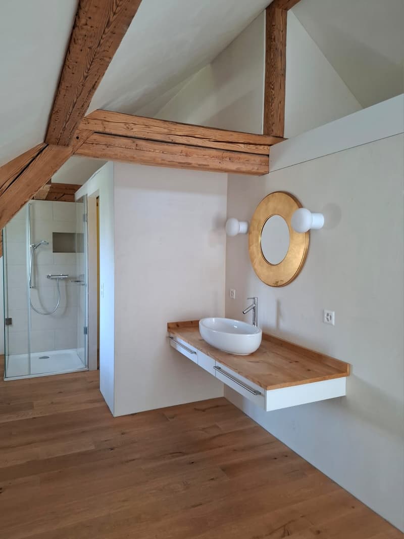 Charming 3.5-room attic apartment in Uster – available immediately! (7)