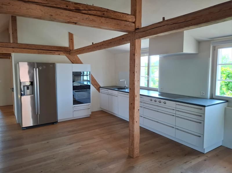 Charming 3.5-room attic apartment in Uster – available immediately! (3)