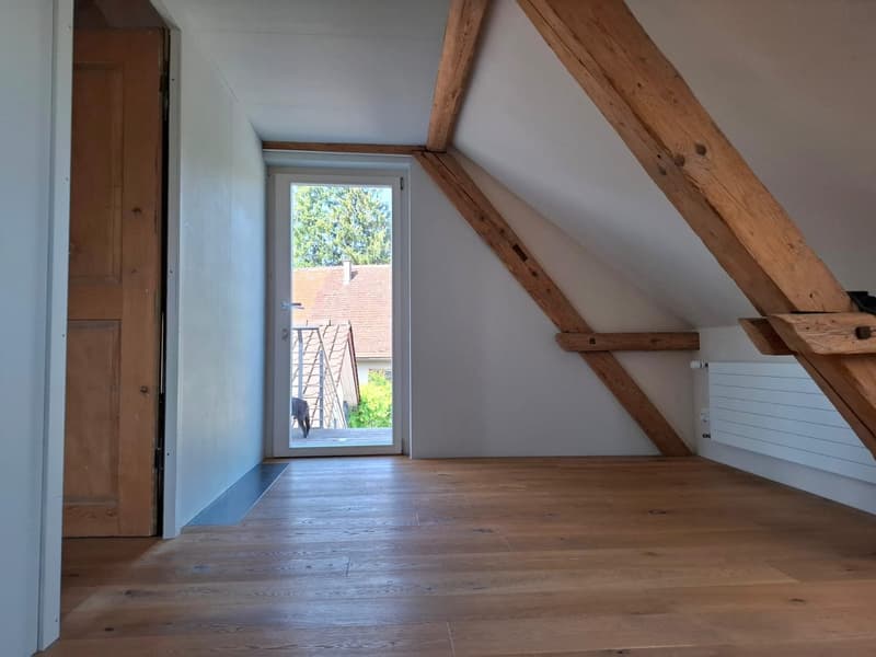 Charming 3.5-room attic apartment in Uster – available immediately! (9)
