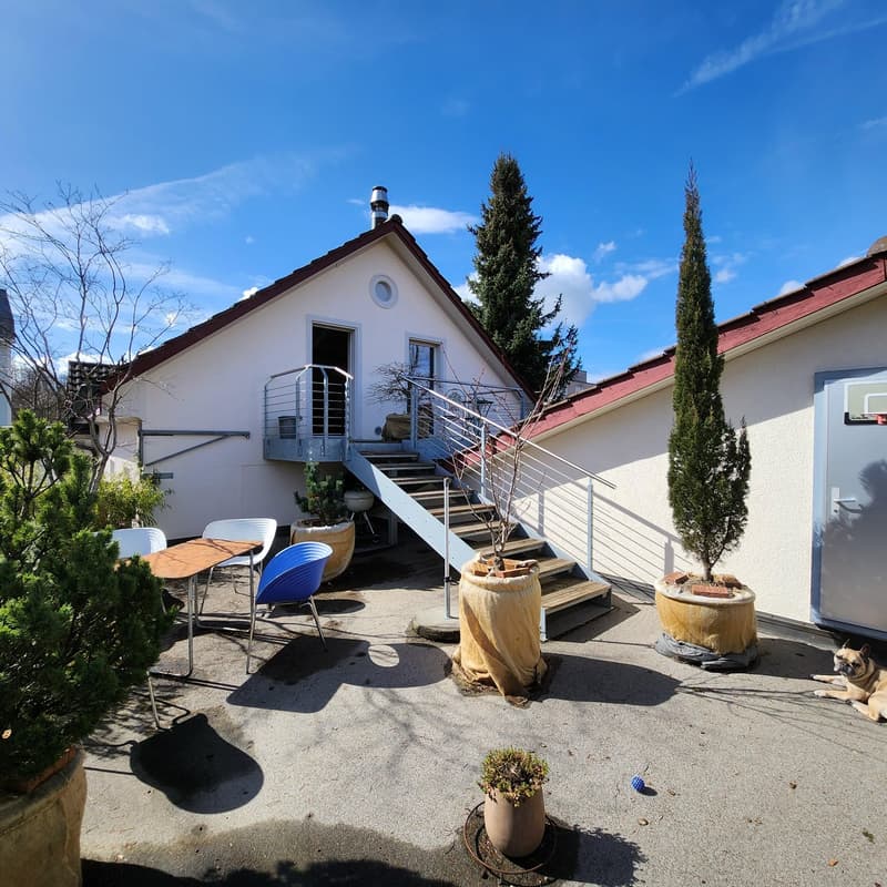 Charming 3.5-room attic apartment in Uster – available immediately! (10)