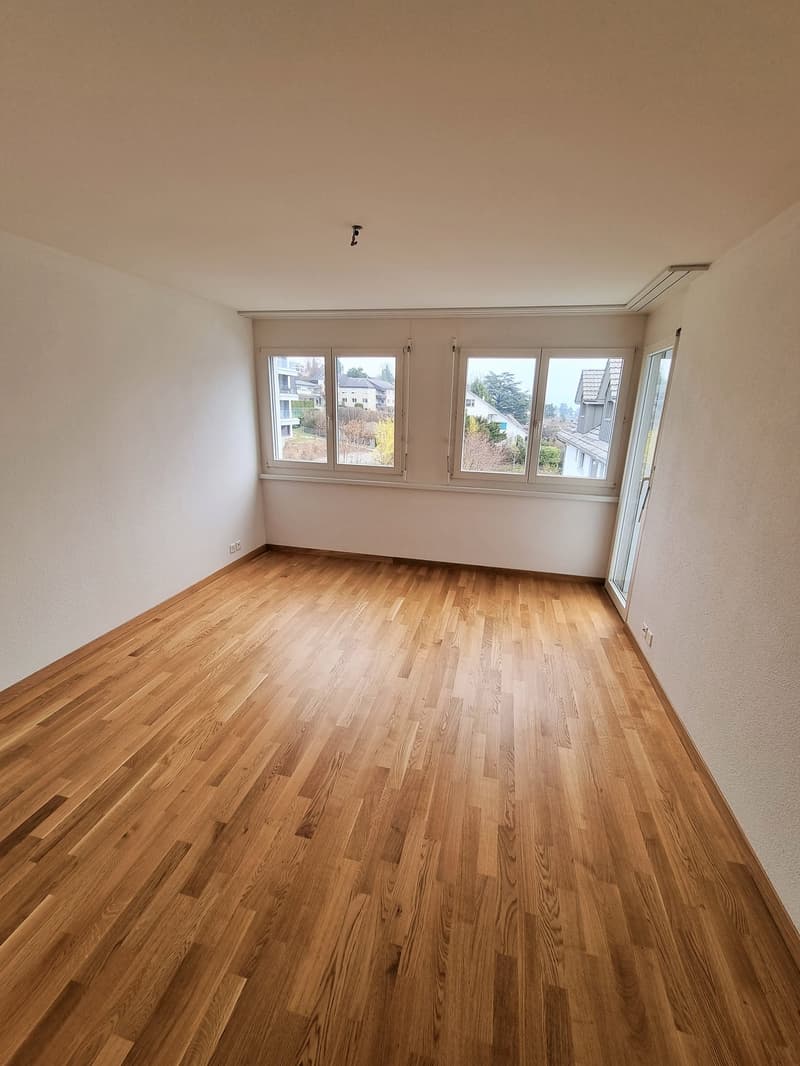 Sunny 4.5-room apartment in a prime location (12)