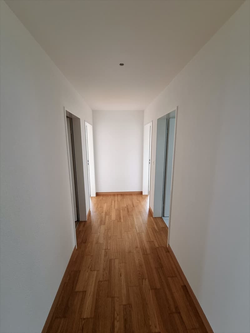 Sunny 4.5-room apartment in a prime location (2)