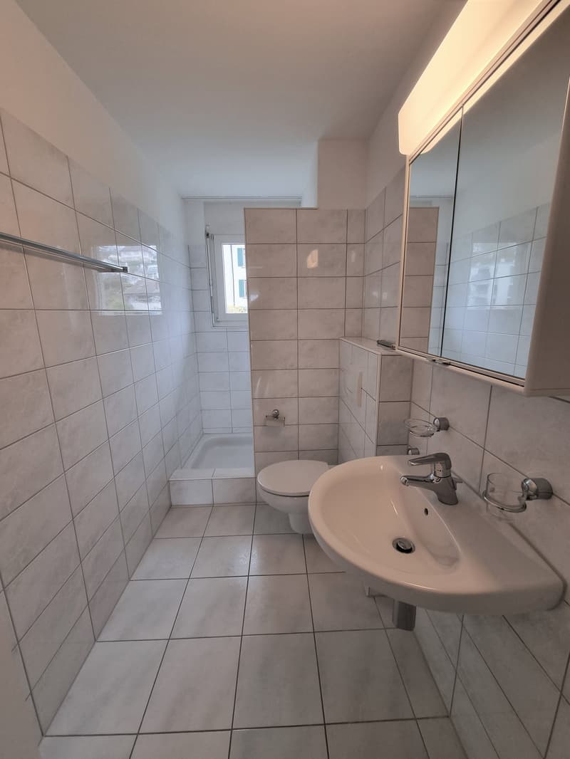 Sunny 4.5-room apartment in a prime location (7)