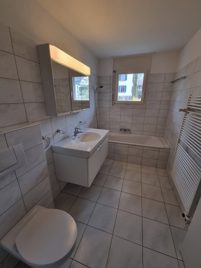 Sunny 4.5-room apartment in a prime location (10)