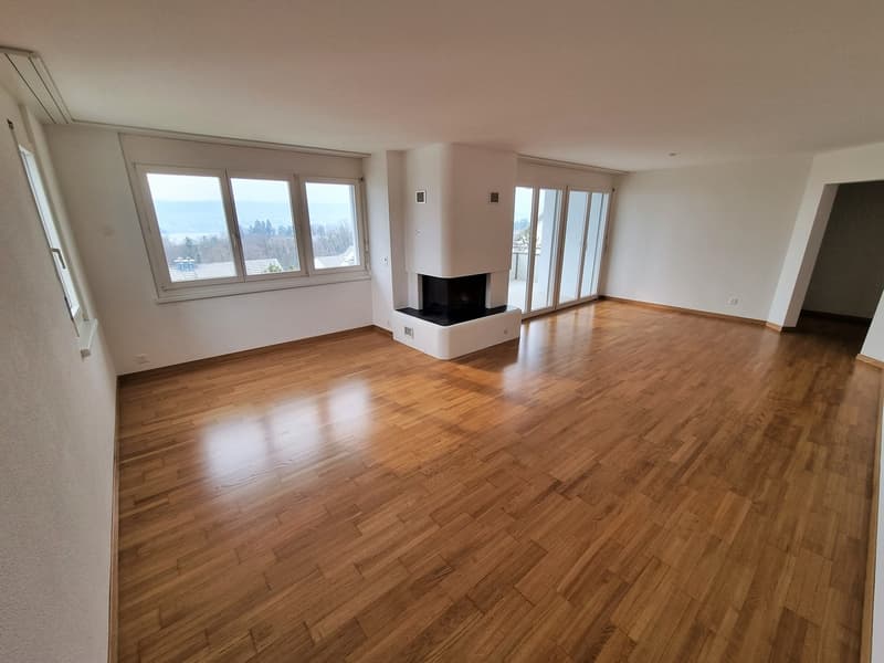 Sunny 4.5-room apartment in a prime location (3)