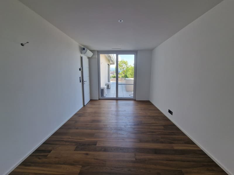 Exclusive 3.5-Zimmer-Attikawohnung (9)
