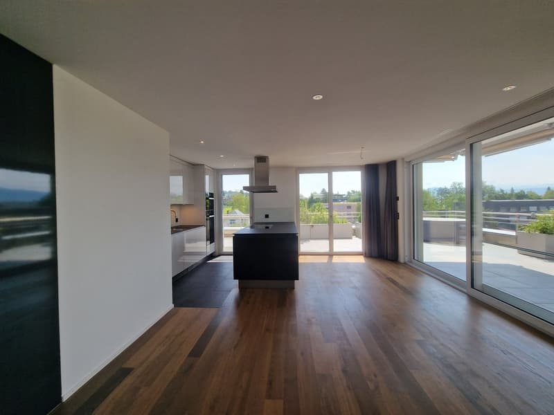 Exclusive 3.5-Zimmer-Attikawohnung (3)