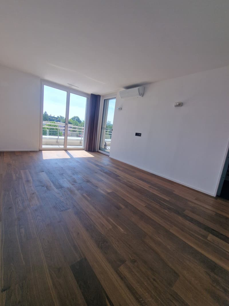 Exclusive 3.5-Zimmer-Attikawohnung (5)