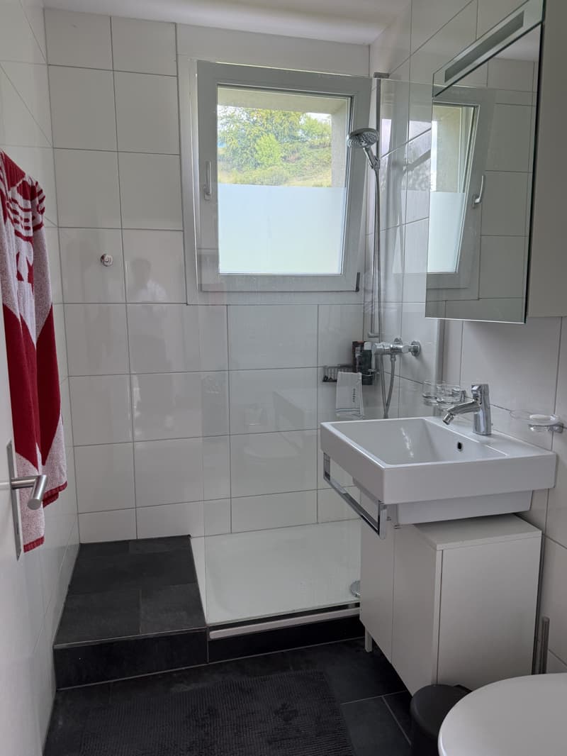 Helle 4.5-Zimmerwohnung mit grosszügigen Aussenflächen und Sicht auf den Zürichsee (8)