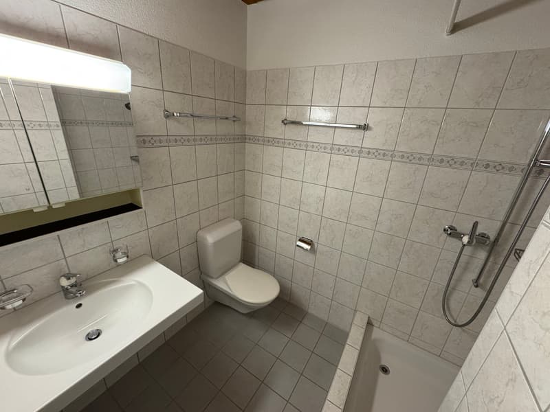 Exklusive 4.5-Zimmer-Dachwohnung mit sonniger Terrasse und Wintergarten (8)