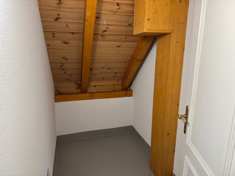 Exklusive 4.5-Zimmer-Dachwohnung mit sonniger Terrasse und Wintergarten (11)