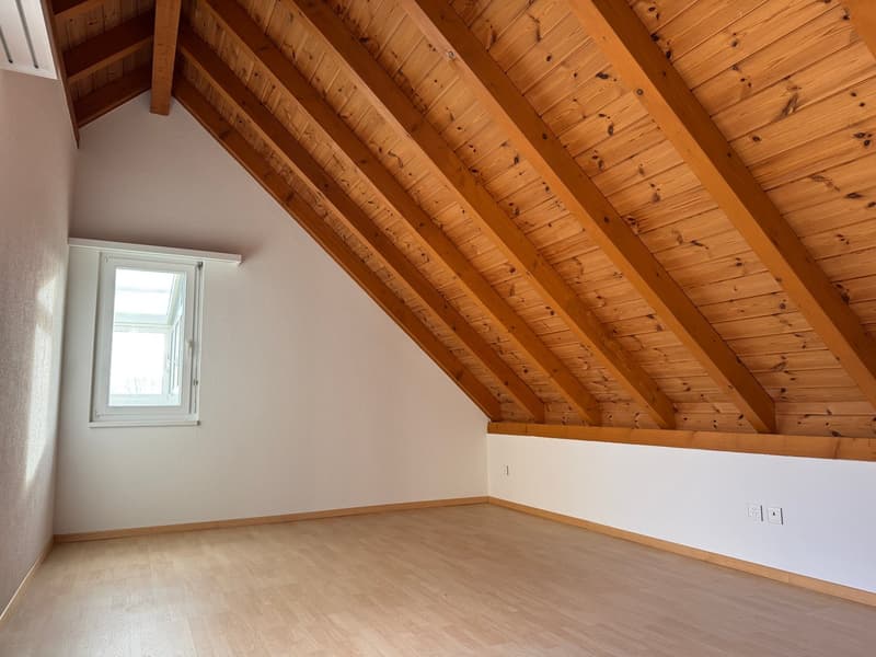 Exklusive 4.5-Zimmer-Dachwohnung mit sonniger Terrasse und Wintergarten (5)