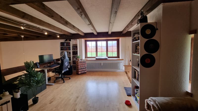 Wunderschöne 4.5-Zimmer-Wohnung im ehemaligen Zollhaus von Langenbruck (11)