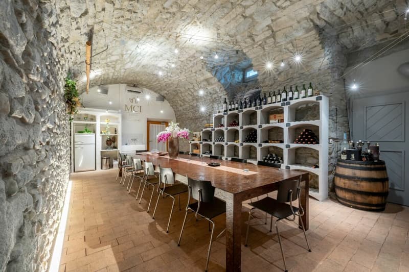 $500,000.00 WIR share possible - Exclusive wine cellar and two commercial spaces that can be converted into an apartment in a prime location in Killwangen! (1)