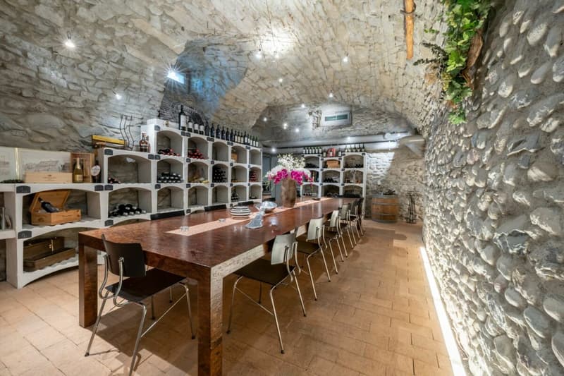 $500,000.00 WIR share possible - Exclusive wine cellar and two commercial spaces that can be converted into an apartment in a prime location in Killwangen! (2)