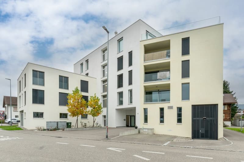 Exclusive 3.5-room apartment in prime location in Oftringen! (1)