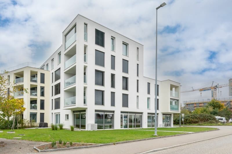 Exclusive 3.5-room apartment in prime location in Oftringen! (2)