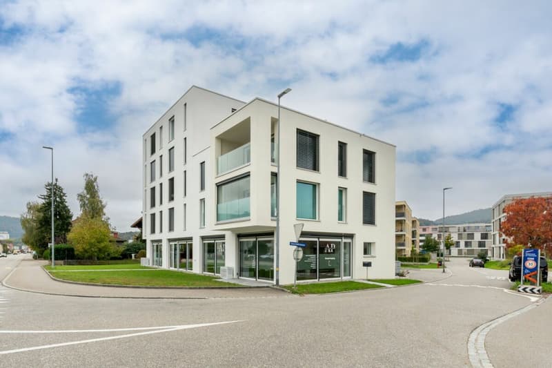 Exclusive 3.5-room apartment in prime location in Oftringen! (3)