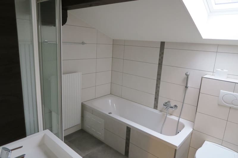 Incantevole appartamento di 3½ locali in un chalet (5)