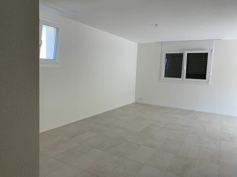 Charmant appartement 3.5 pièces en attique (6)
