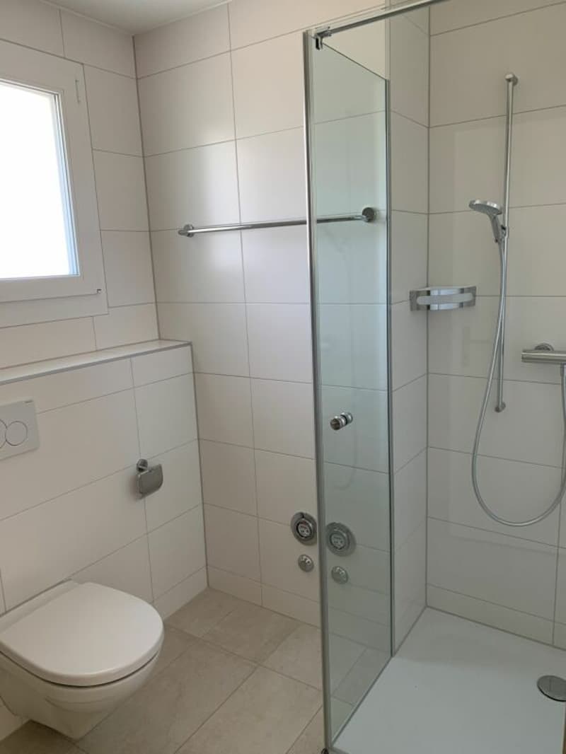 Charmant appartement 3.5 pièces en attique (2)