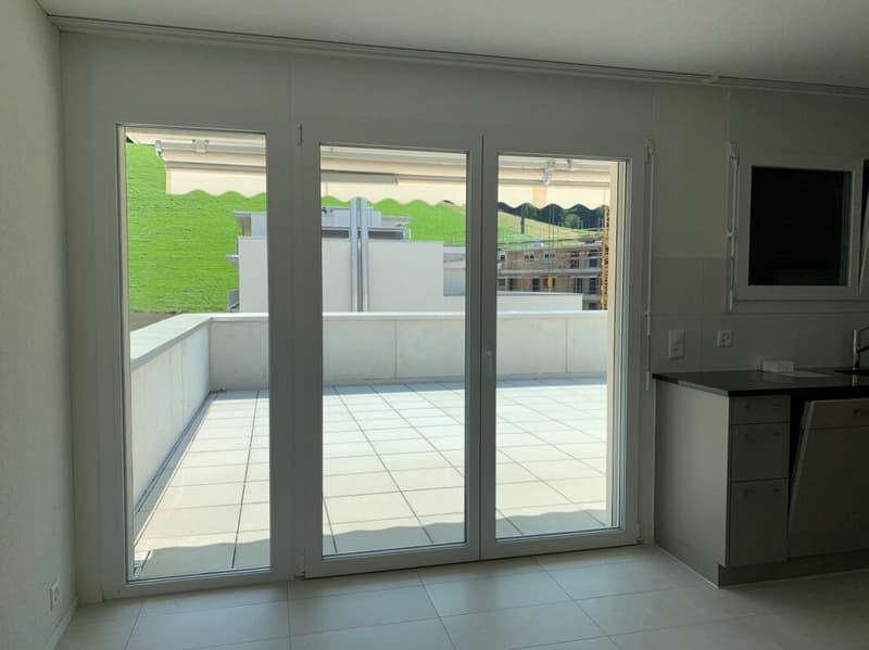 Charmant appartement 3.5 pièces en attique (7)